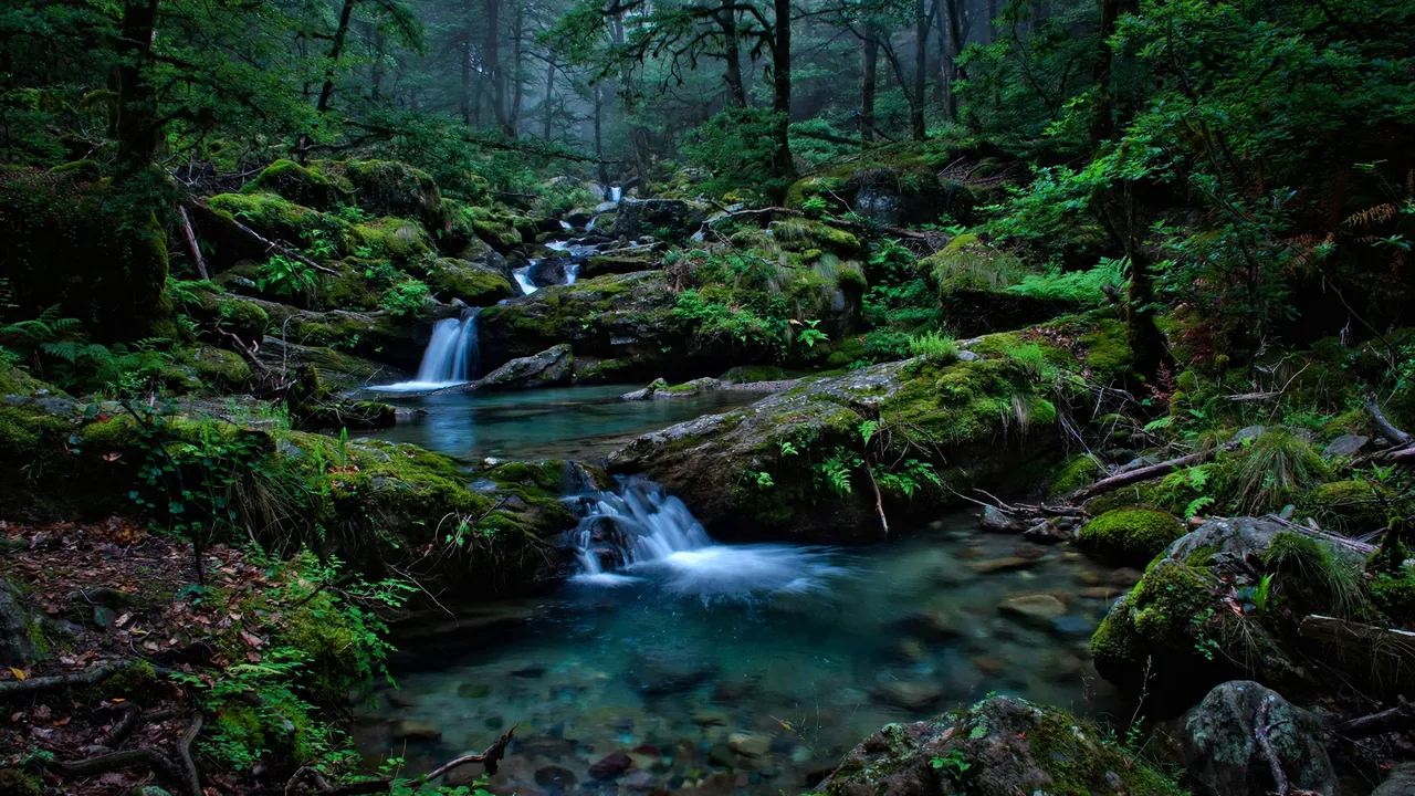 Río Pigüeña